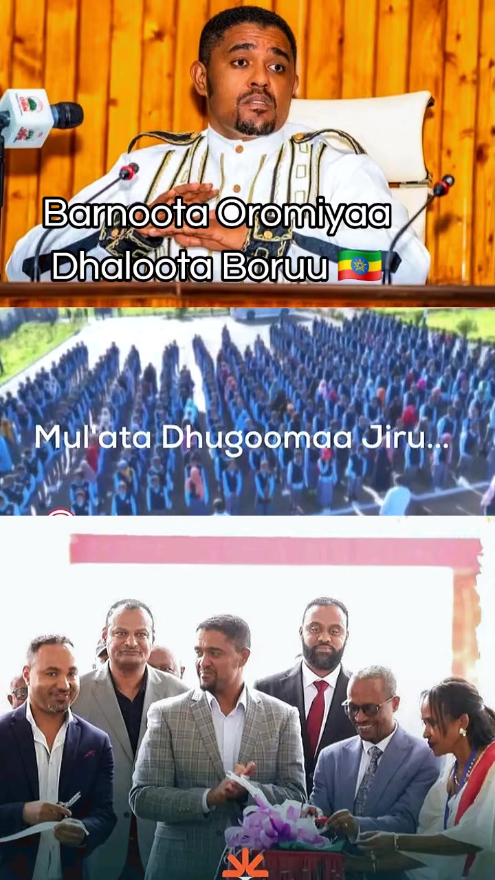 @Shimallis Abdisa Parody