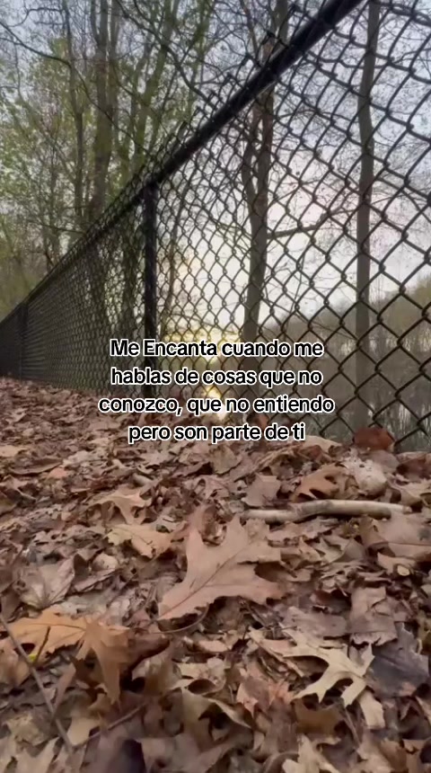 @🎀ᴍᴀʏᴛᴇ🎀🦍😇