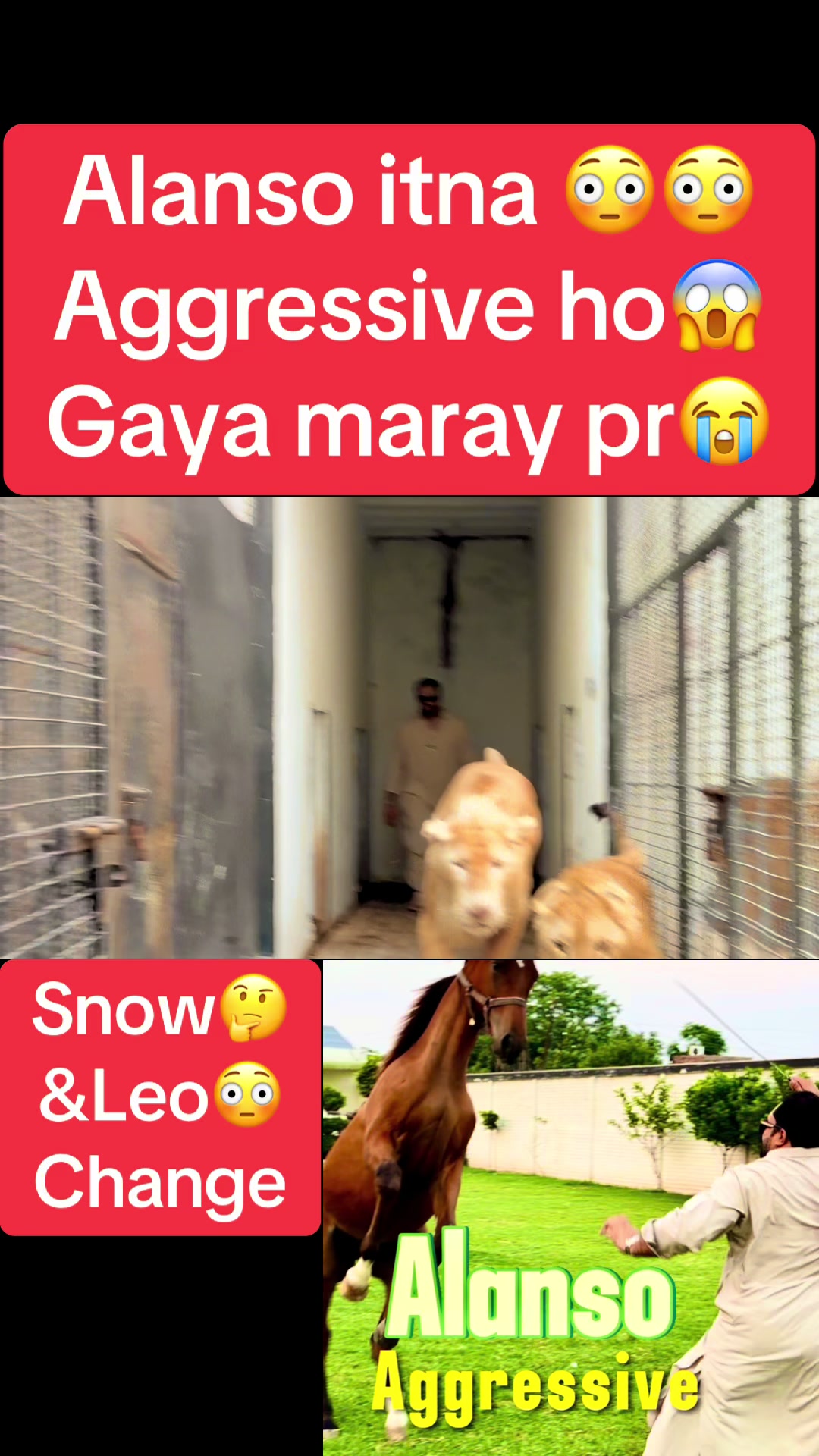 @Mian saqib