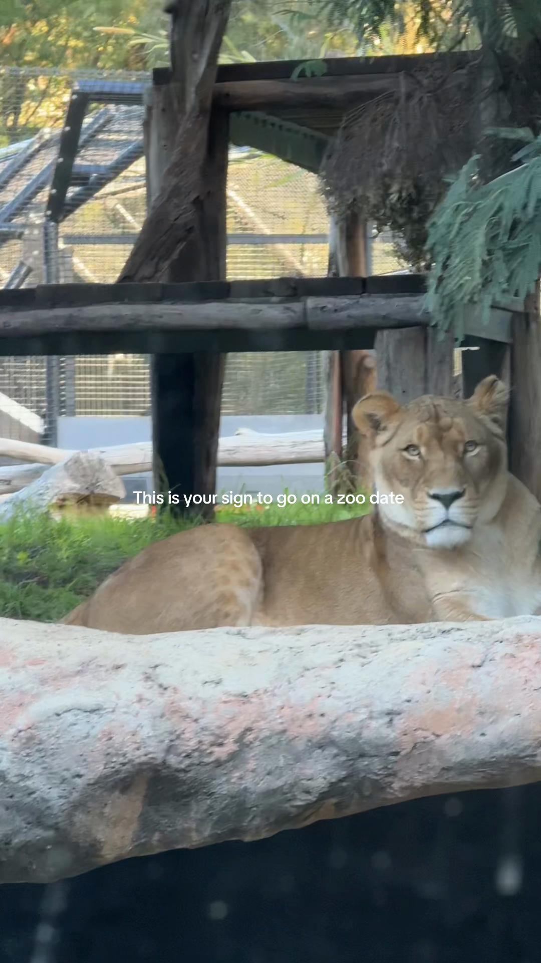 @D