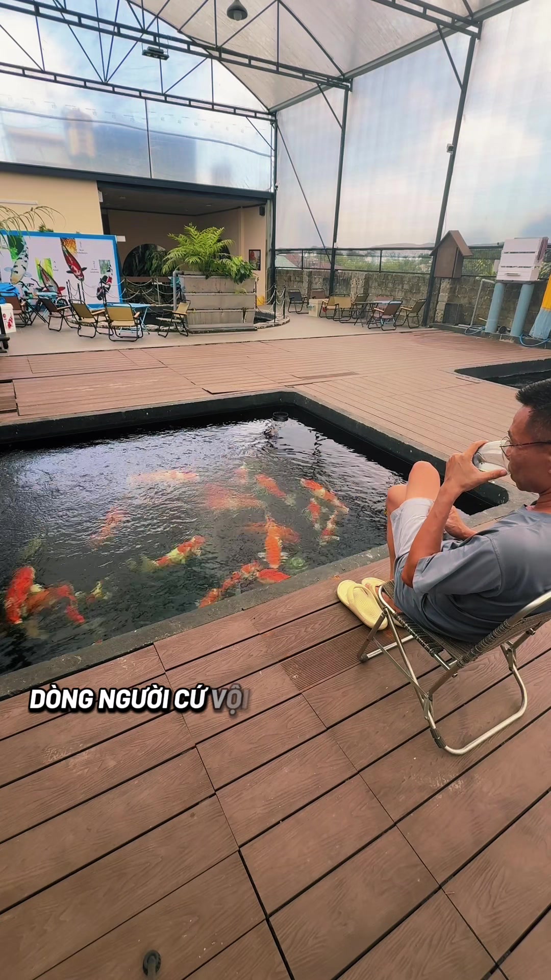 @Nguyễn Ho&agrave;ng Linh