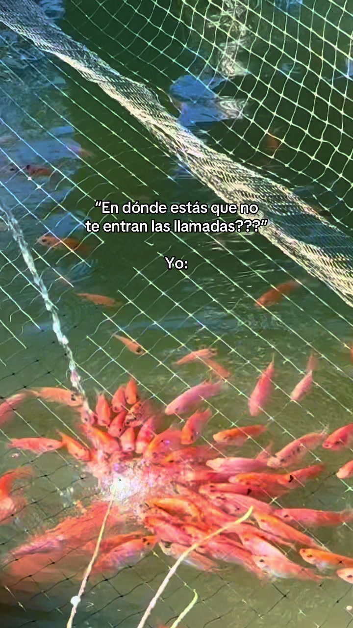 @Sandra 🦋
