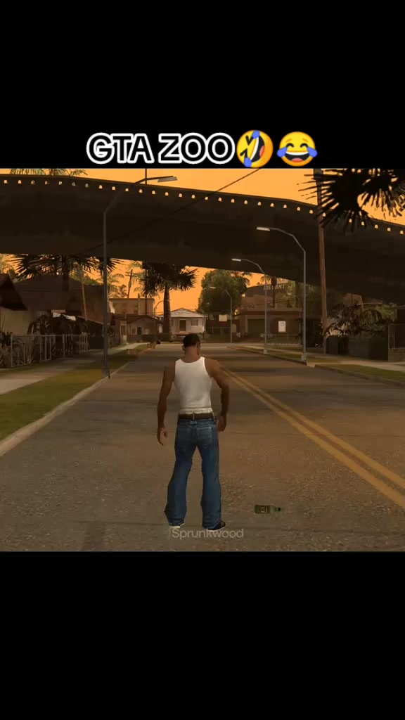 @GTA95 ZOO