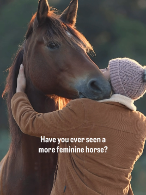 @Myhorsewillow