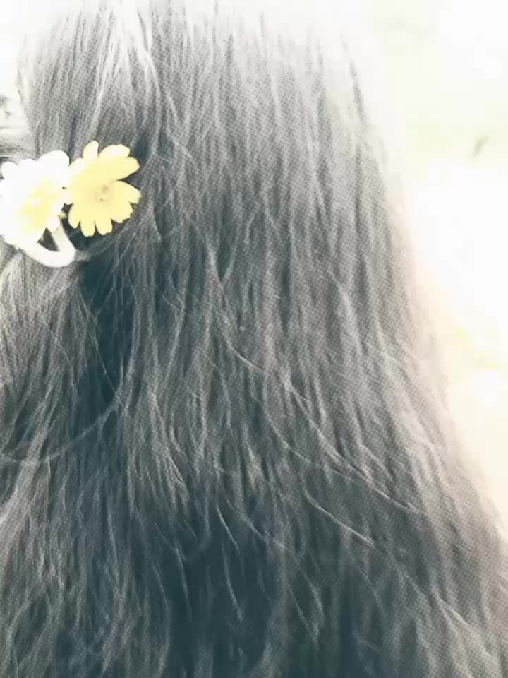 @>𝐅𝙰Ꮢʝαɳ𝙰'♡✨