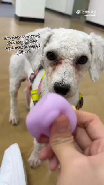 @๐๐จ๐ฒ๐ถ๐ฒ๐ท๐ฐ ๐ผ๐ฑ๐ฒ๐น ♥