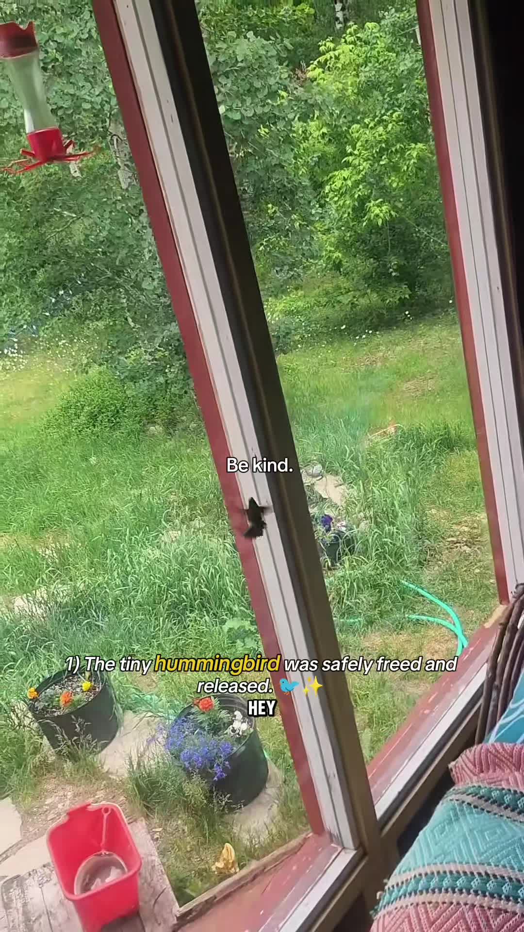 @WildwonderzZzz