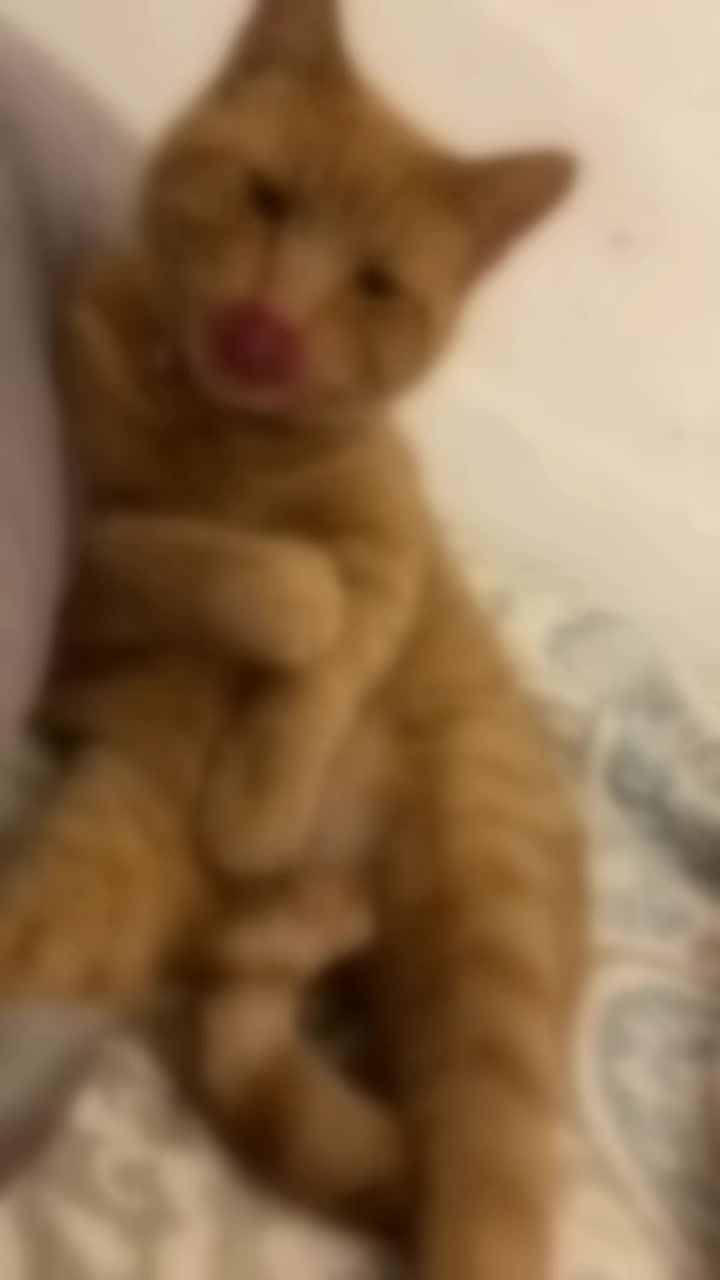 @phmngcdung1833