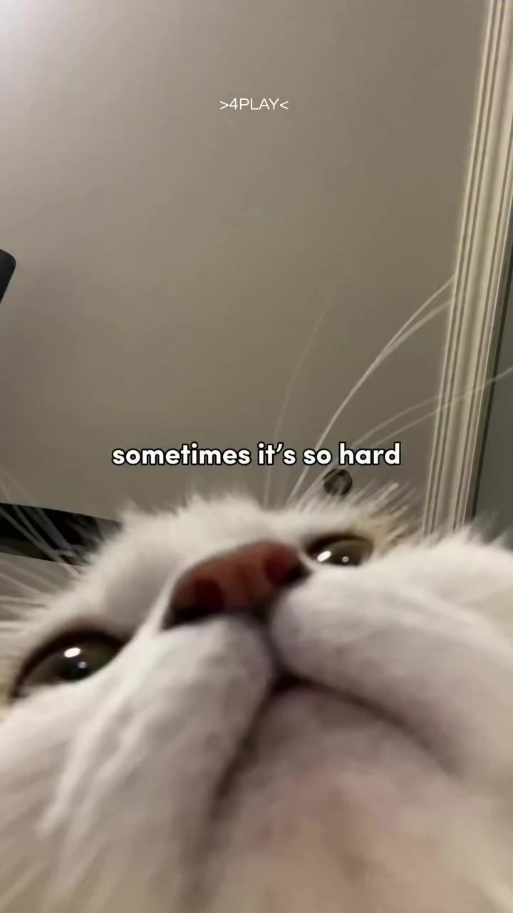 @๐๐๐๐ฐ๐ฃ๐๐๐ฌ