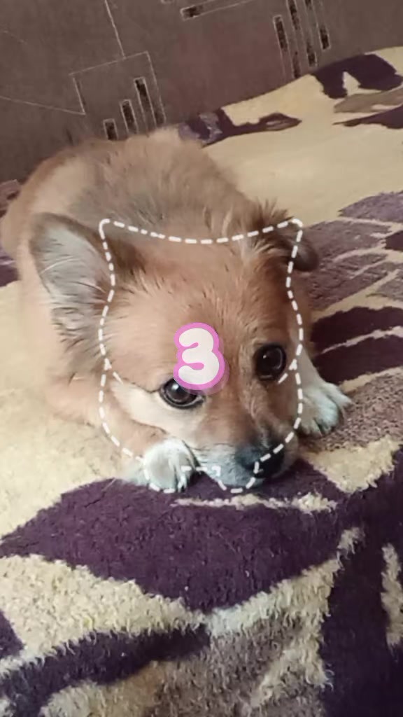 @𝓵𝓲𝔃𝓪𝓪🪐✨