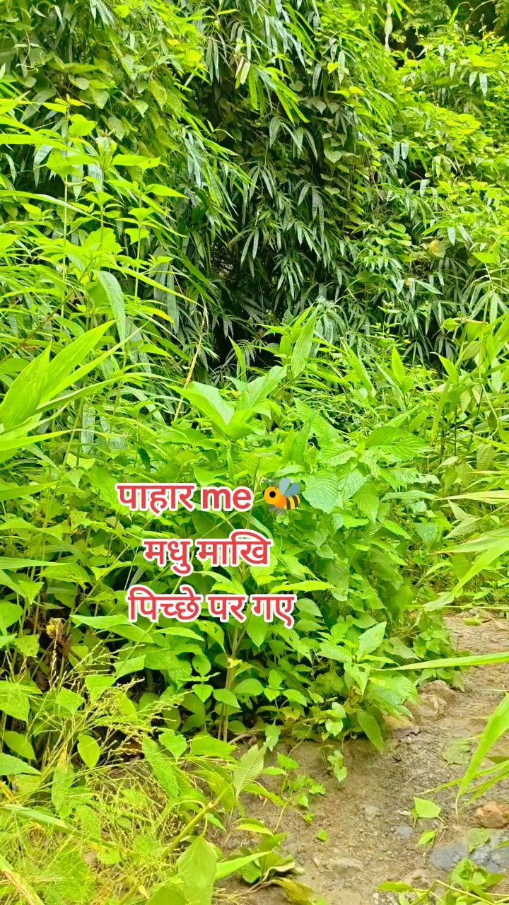 @shivkant Mandal
