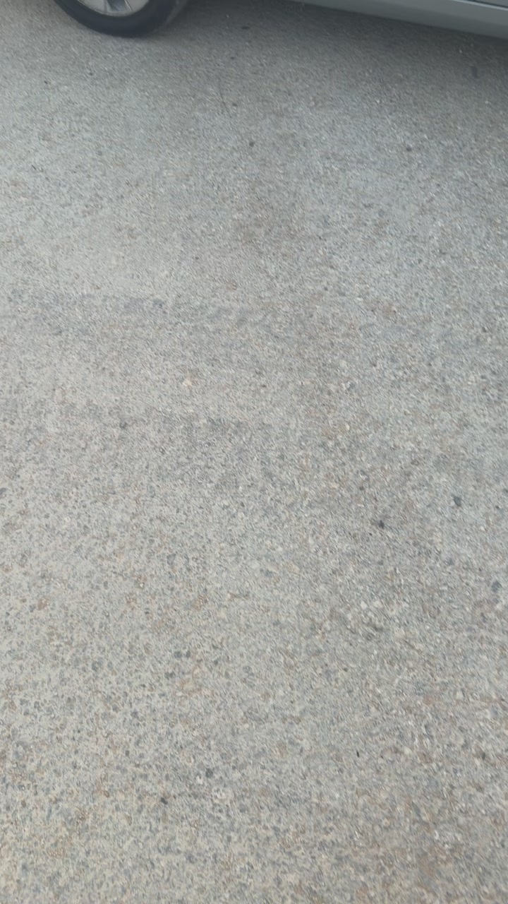 @الفـدرالي 🧣