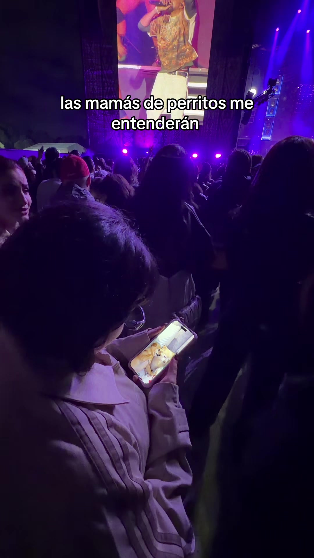 @sofiaalcastro