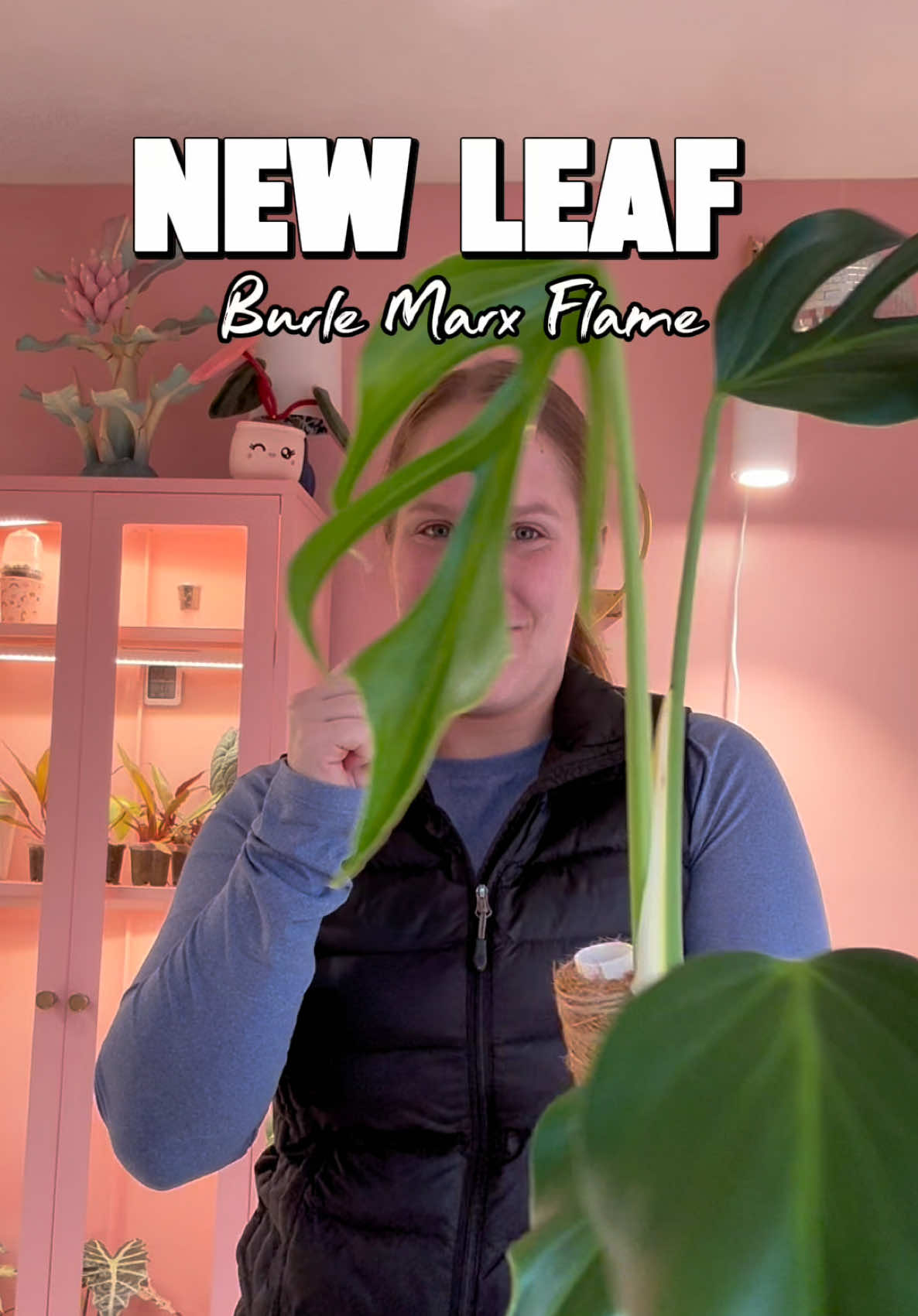 @midwestplantgal