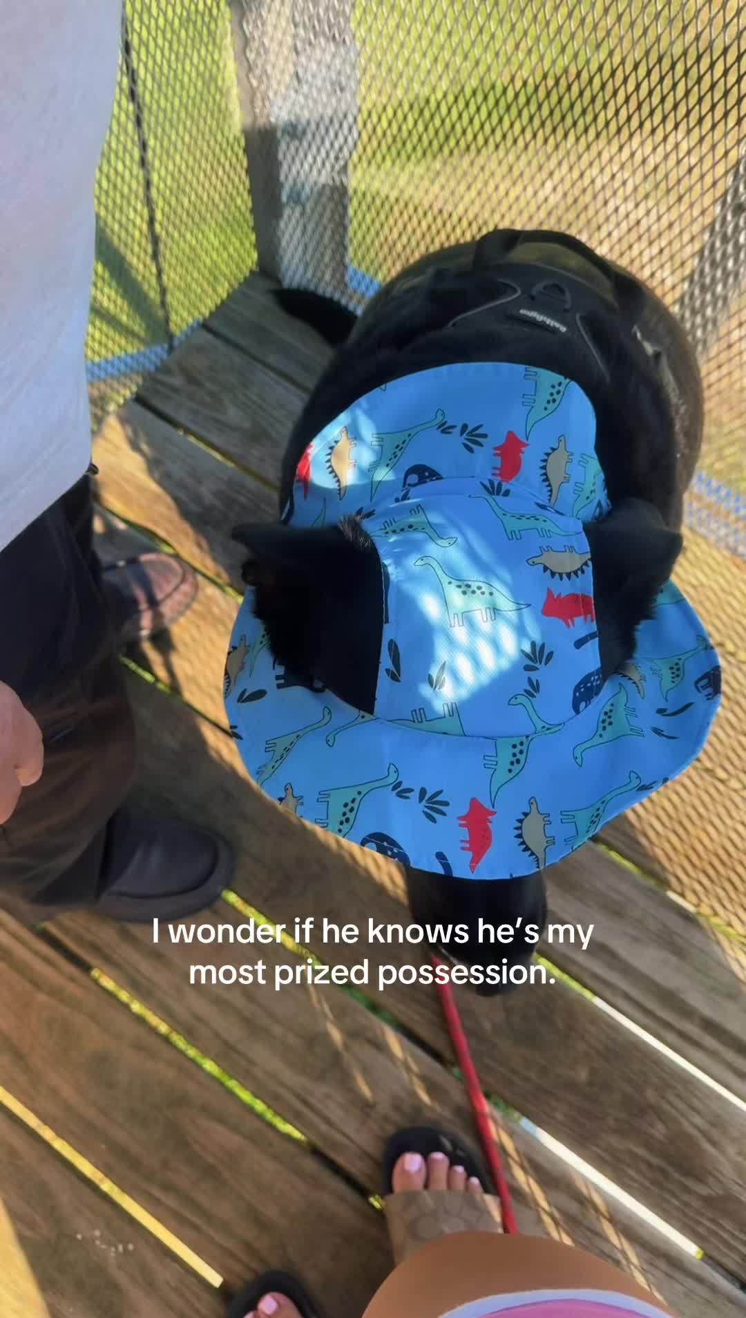 @Winnie Nguyen