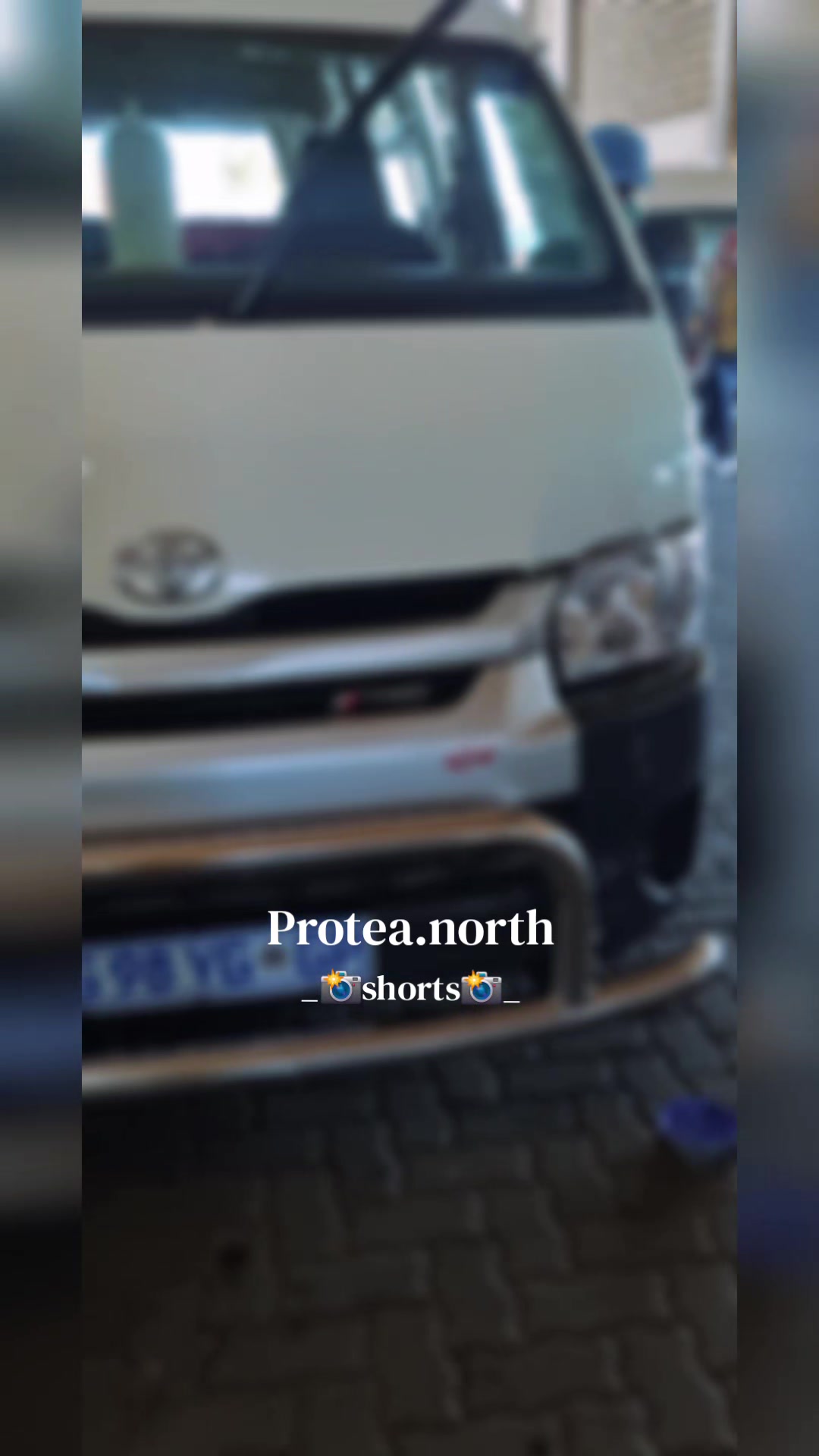 @Protea.north_shorts_