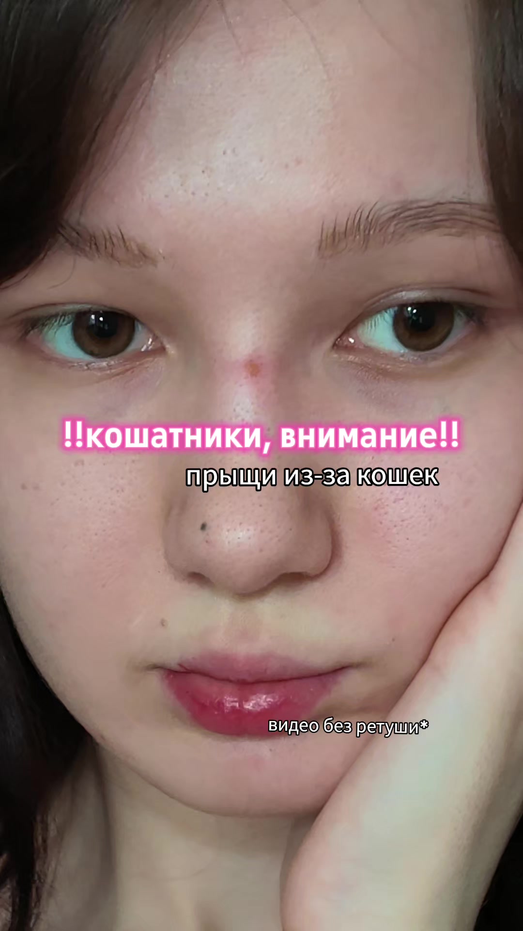 @s&oacute;na_ragdoll