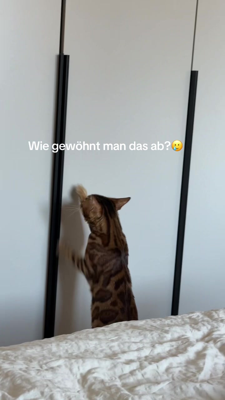@ALINA 🐆🤎