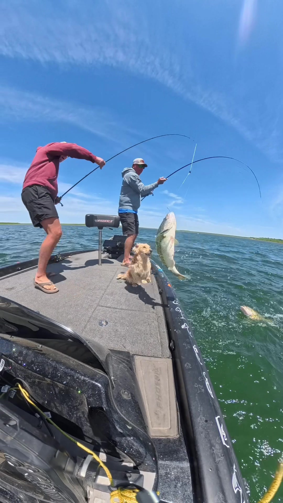 @braydenstokerfishing