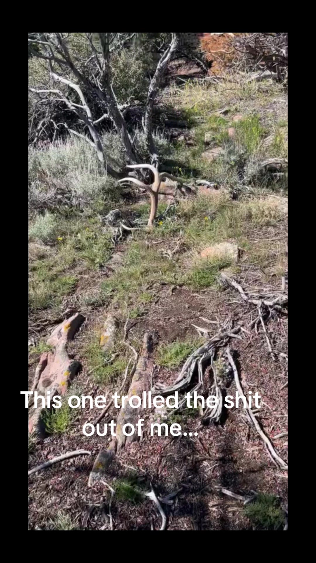 @Antler Tacklers