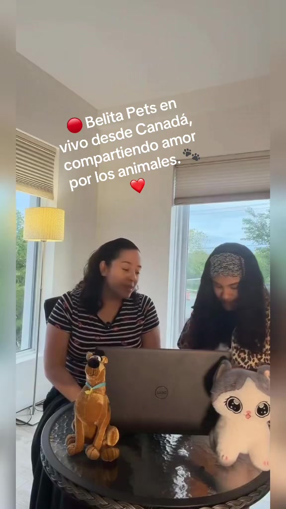 @BelitaPets
