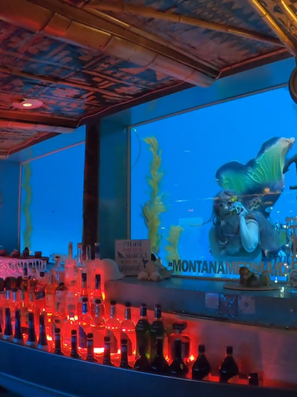 @Little Mermaid Aerial