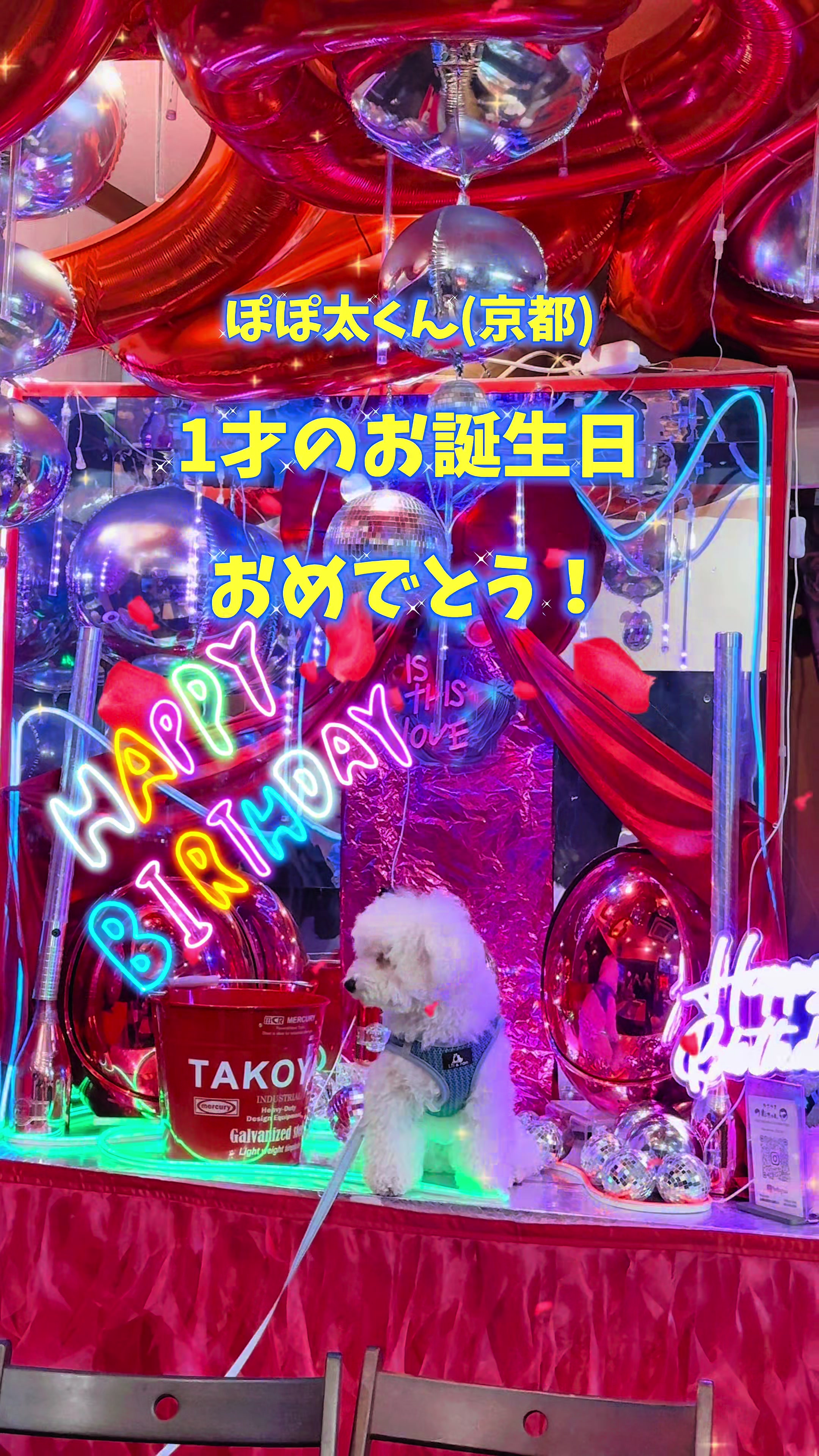 @コロン🐶
