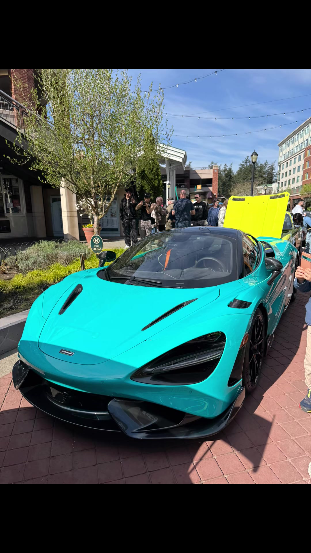 @🇺🇦🇺🇸✨Julia*Martin✨🇺🇦🇺🇸