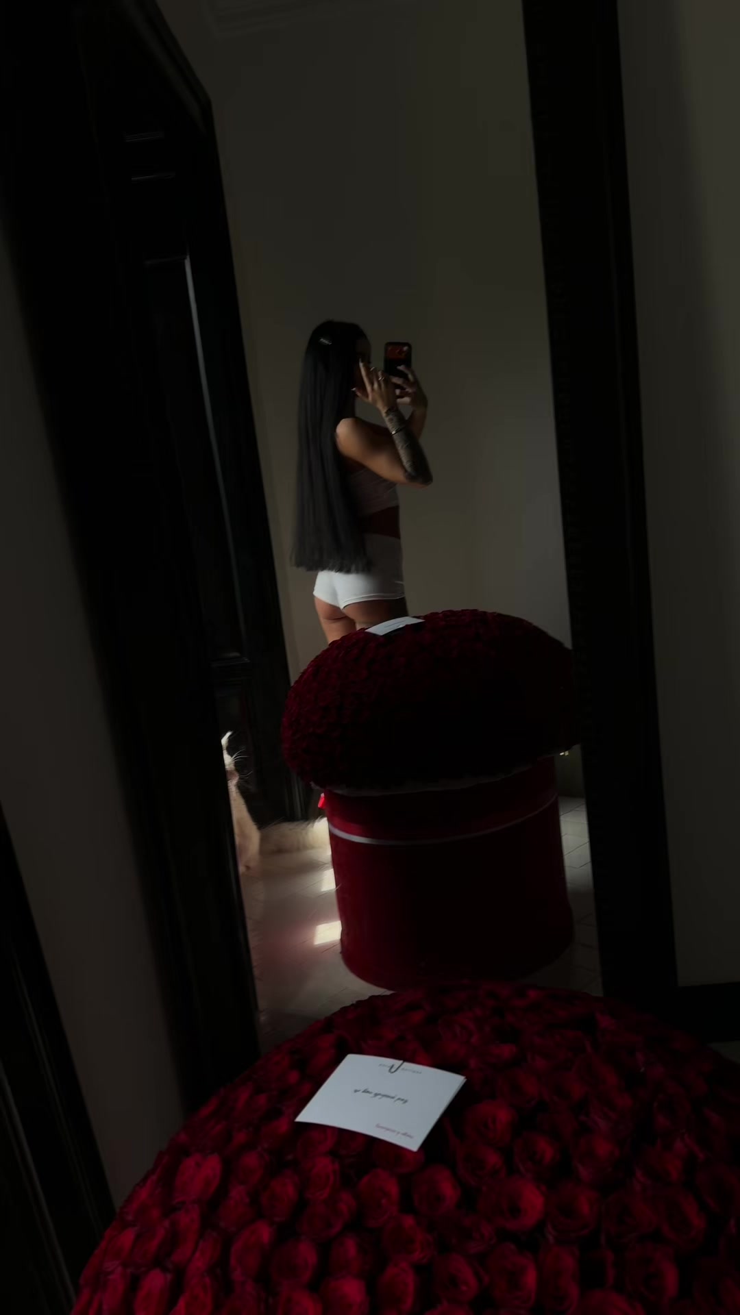 @divkaperekup