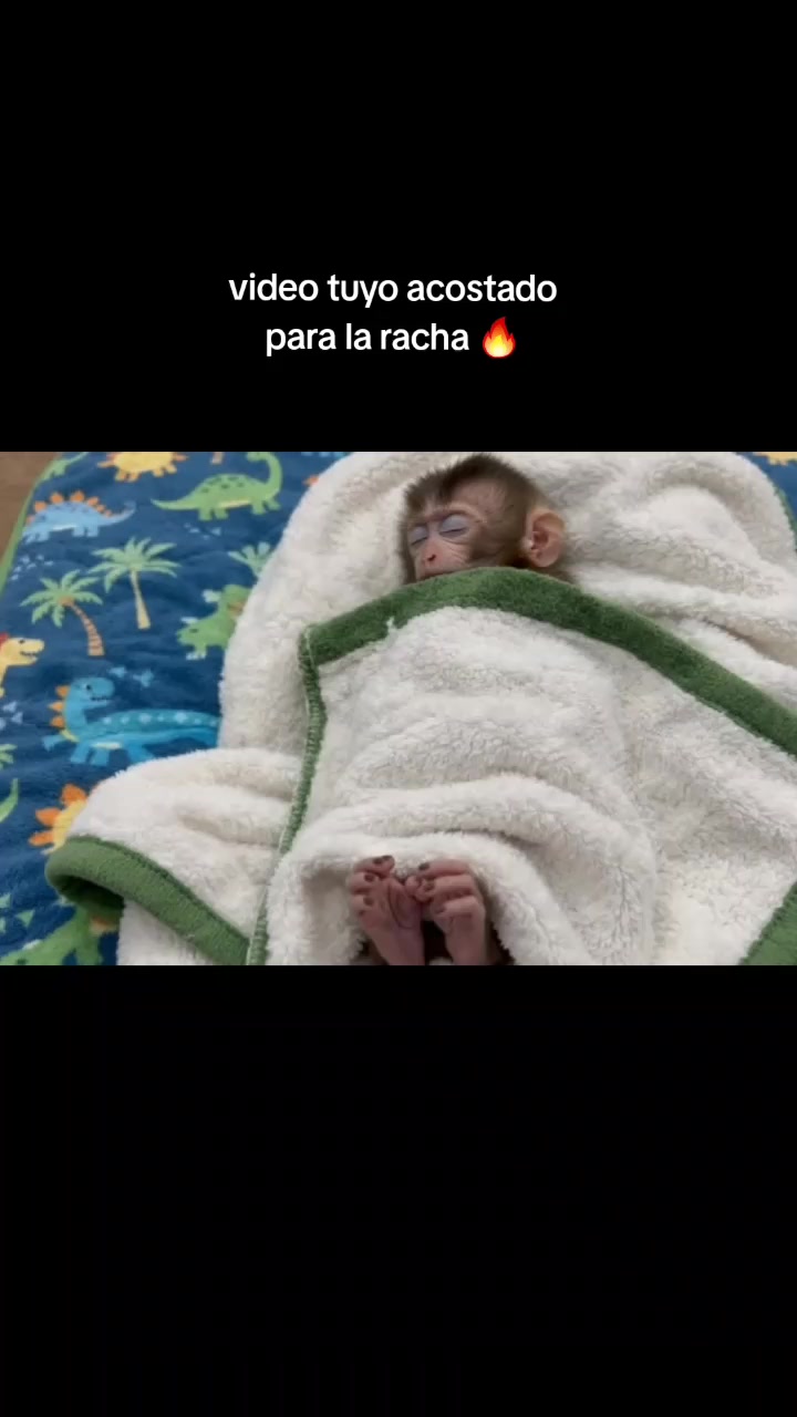 @RabPesito 🔥