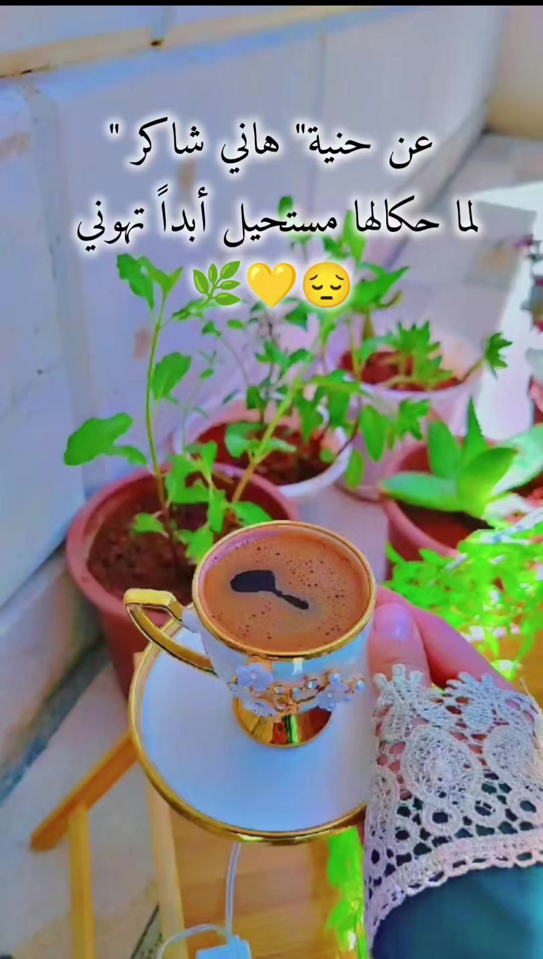 @عبير الورد🧡🍂