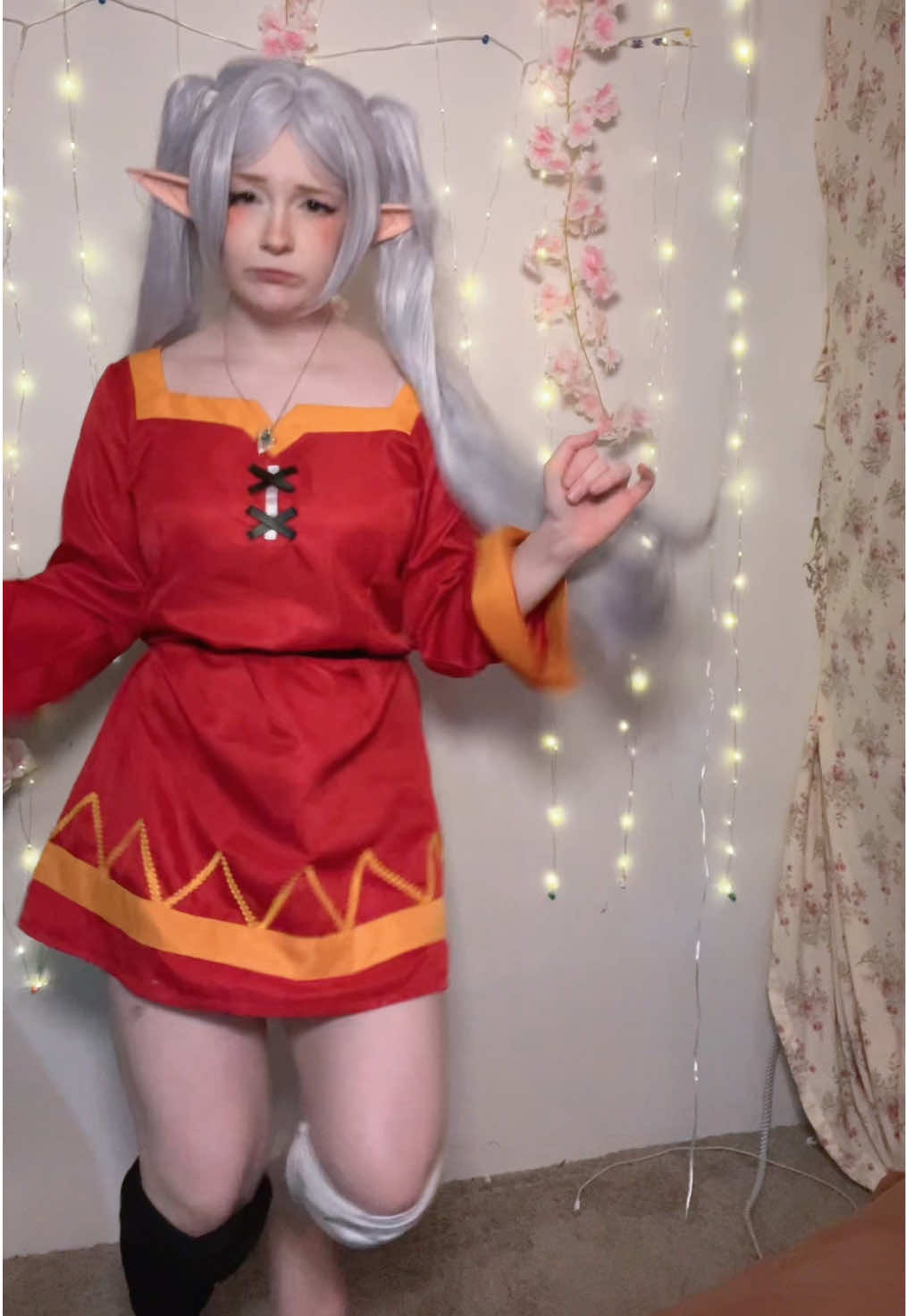 @≽^•⩊•^≼