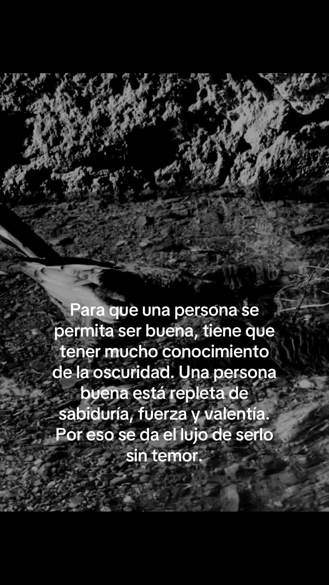 @eduxghoul