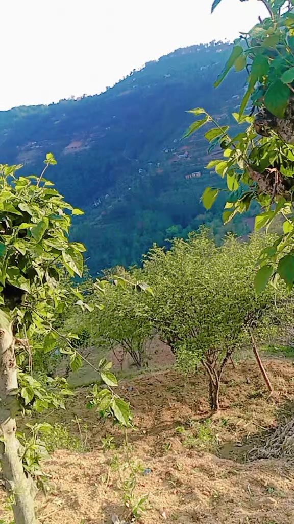 @Seti Lama