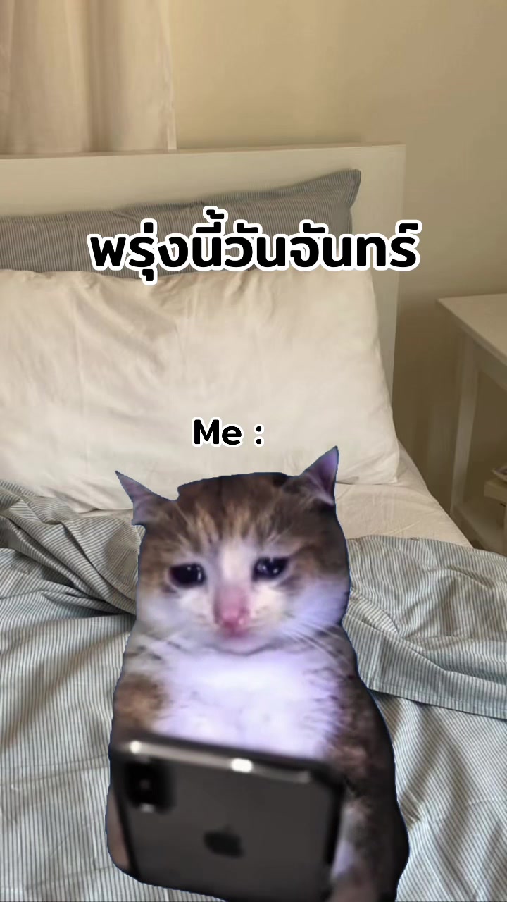 @ฮิปโปตด