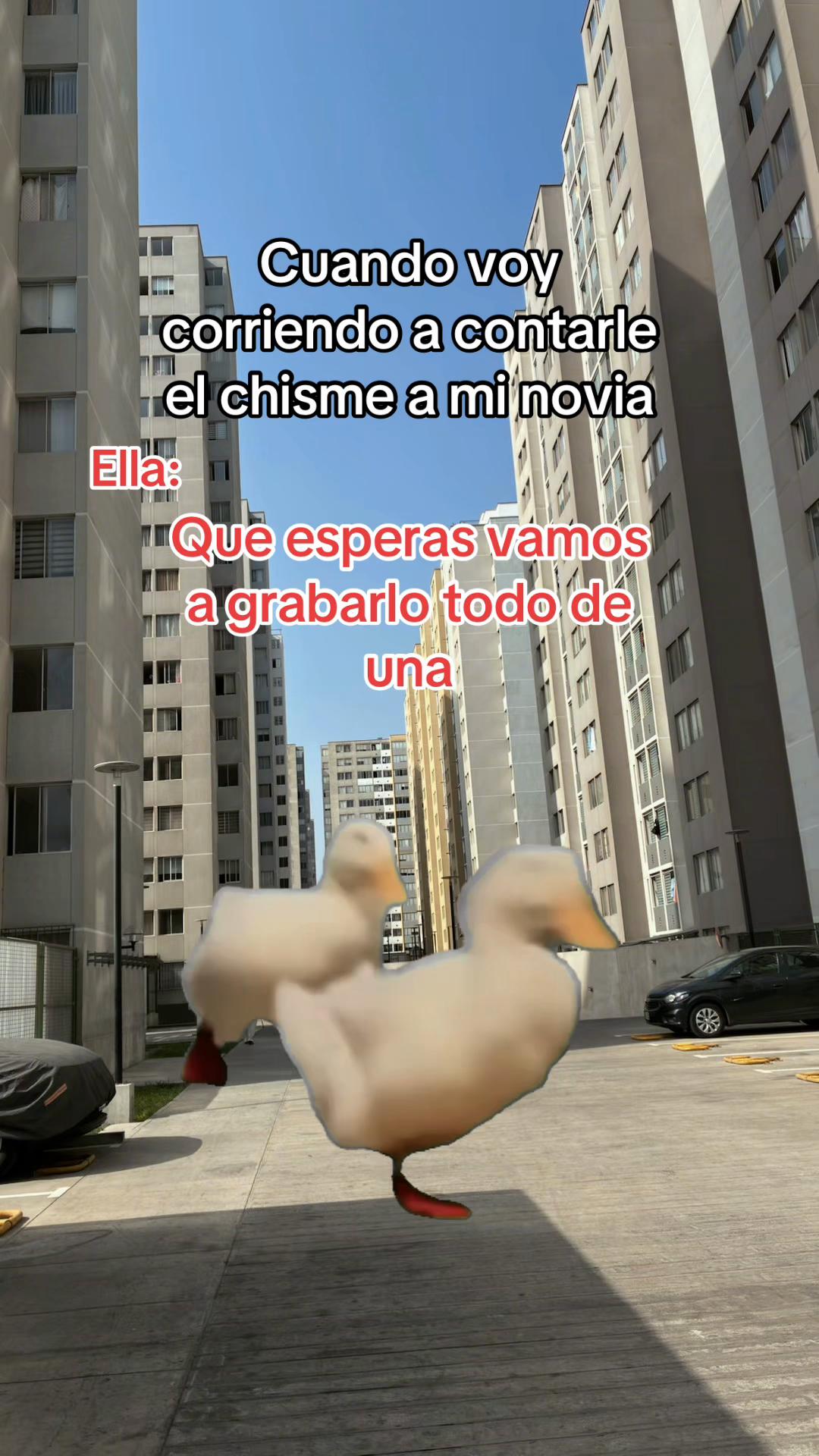 @jansonmania