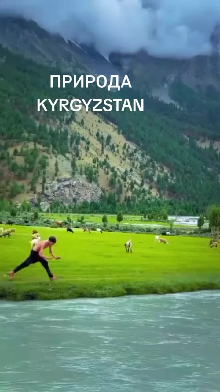 @aidarali_63