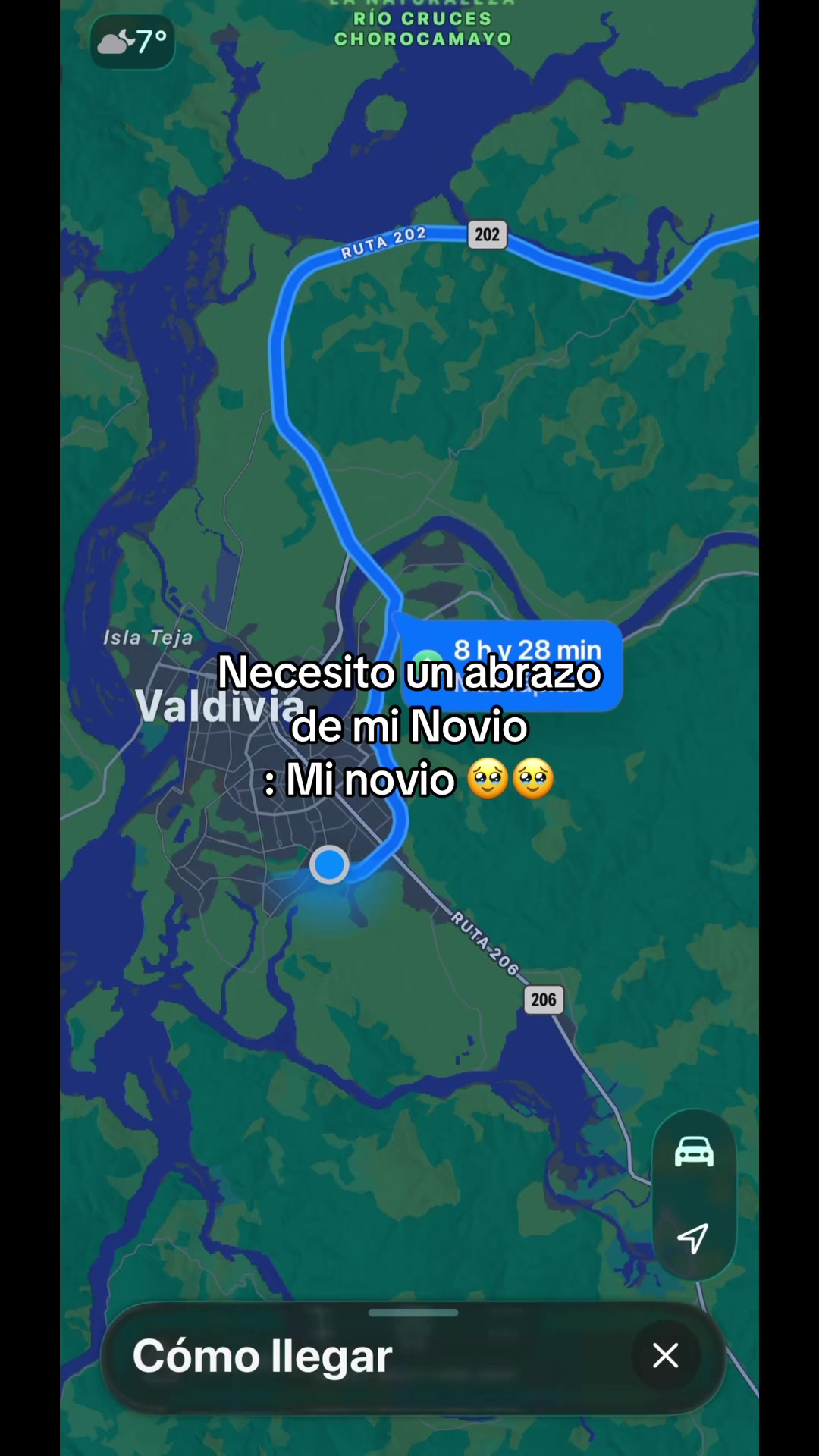 @Camila Mendez S