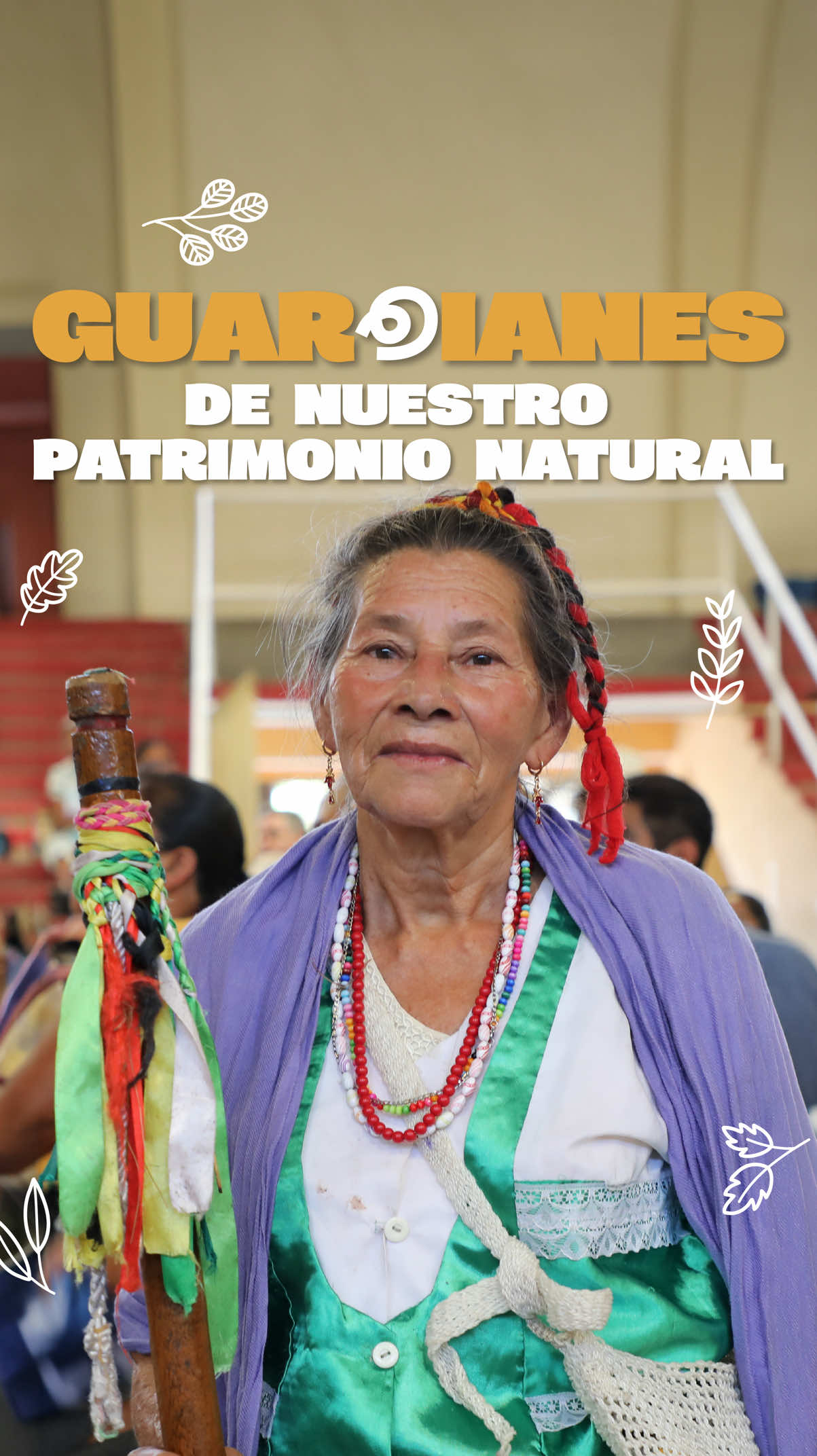 @Ministerio de Ambiente GT