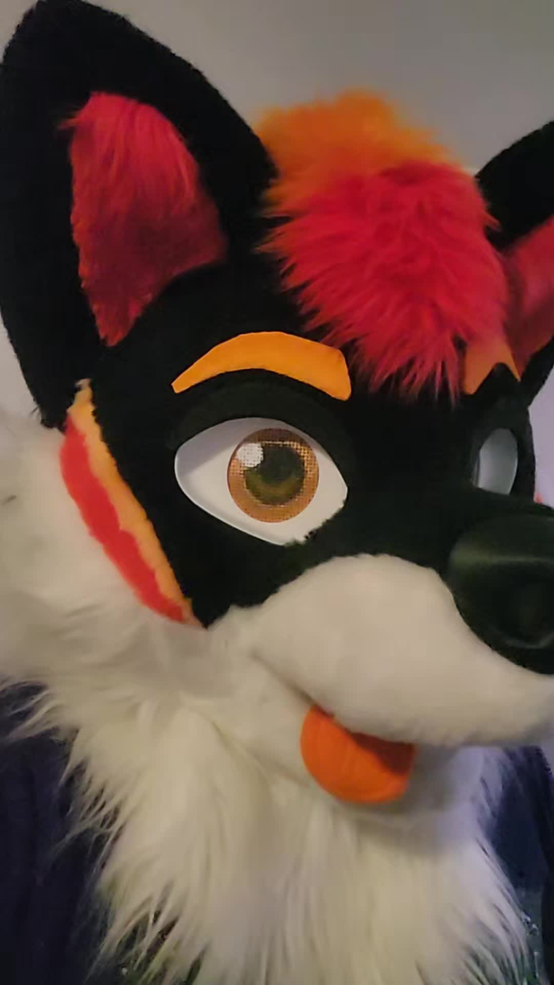 @Luco Foxxo