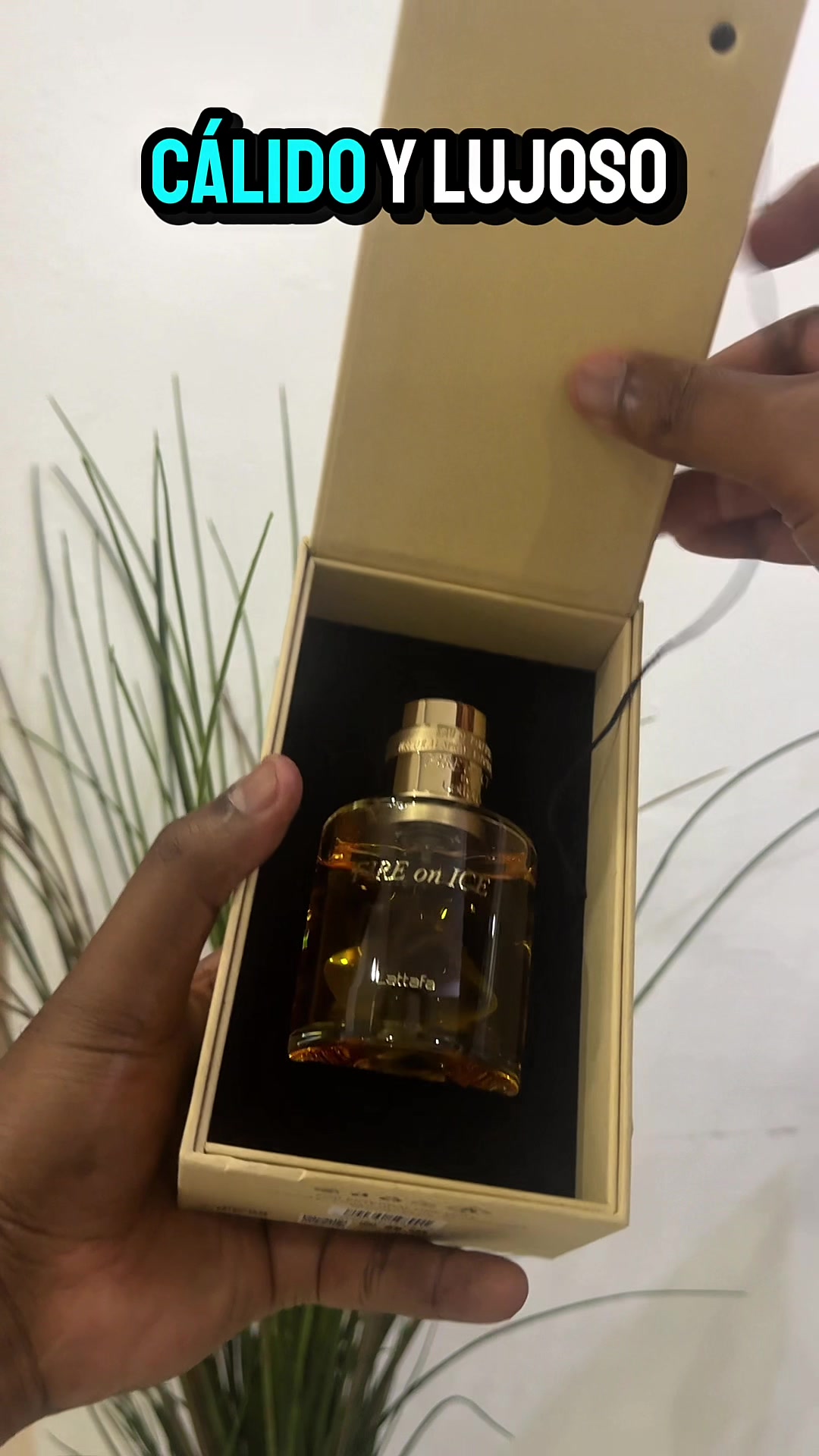 @Fragancias de HOMBRE Y MUJER