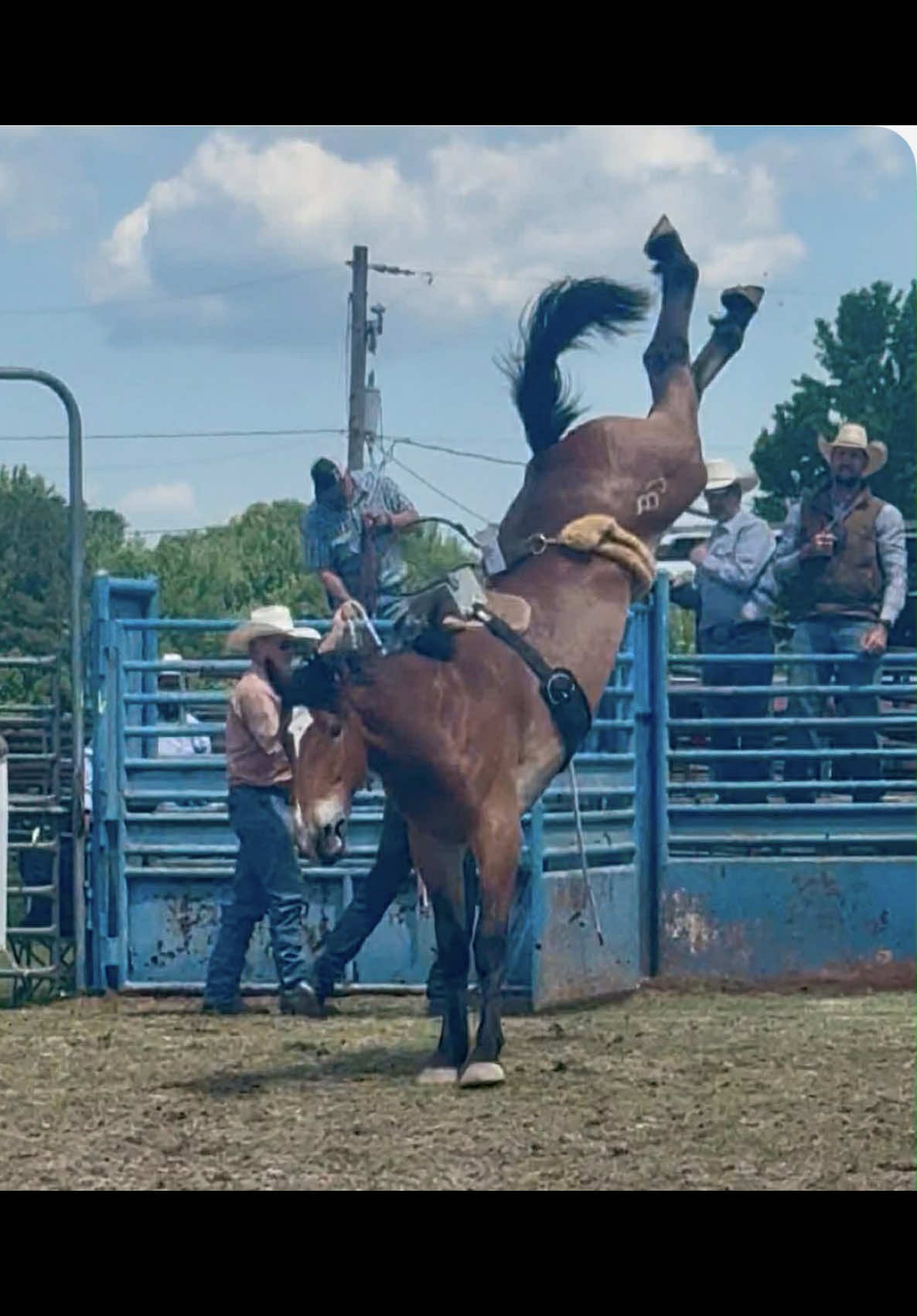 @Bronc Riding Nation
