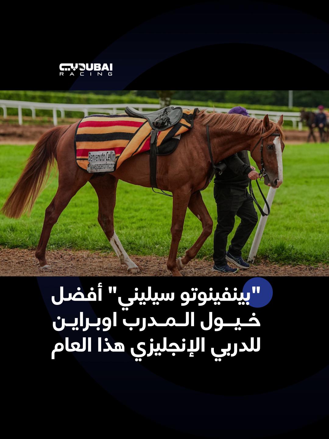@Dubai Racing TV