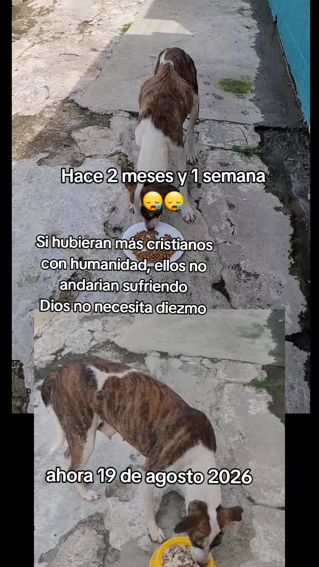 @𝕃𝕚𝕤𝕤 ℝ𝕖yes🇸🇻