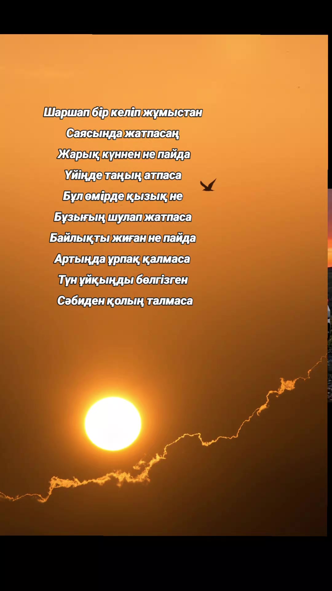 @ℤℍ𝔸ℕ🔆