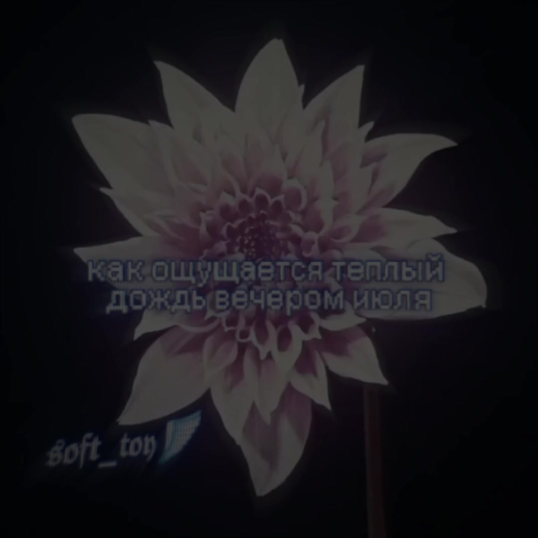 @𝖘𝖔𝖋𝖙_𝖙𝖔𝖞🔫