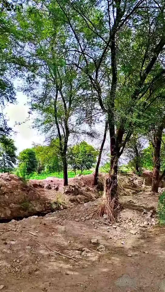 @Irtaza 267