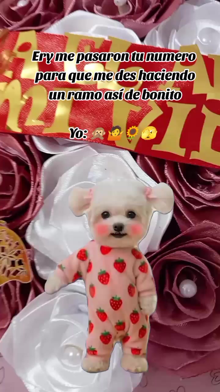 @Eryka Almeida