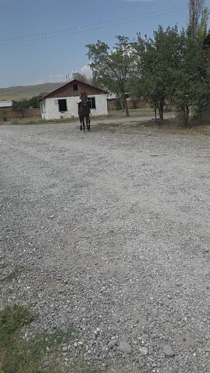 @tynycbekazaliev
