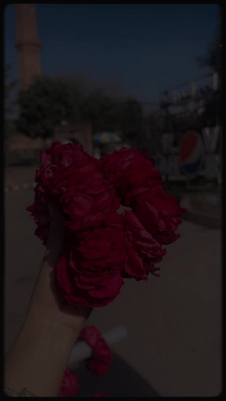 @ʟᴜʙɴᴀ ᴡᴀsᴇᴇᴍ☠️